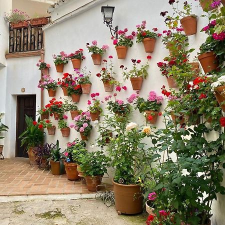 Amal Casa De Huespedes Apartment Cordoba Exterior photo