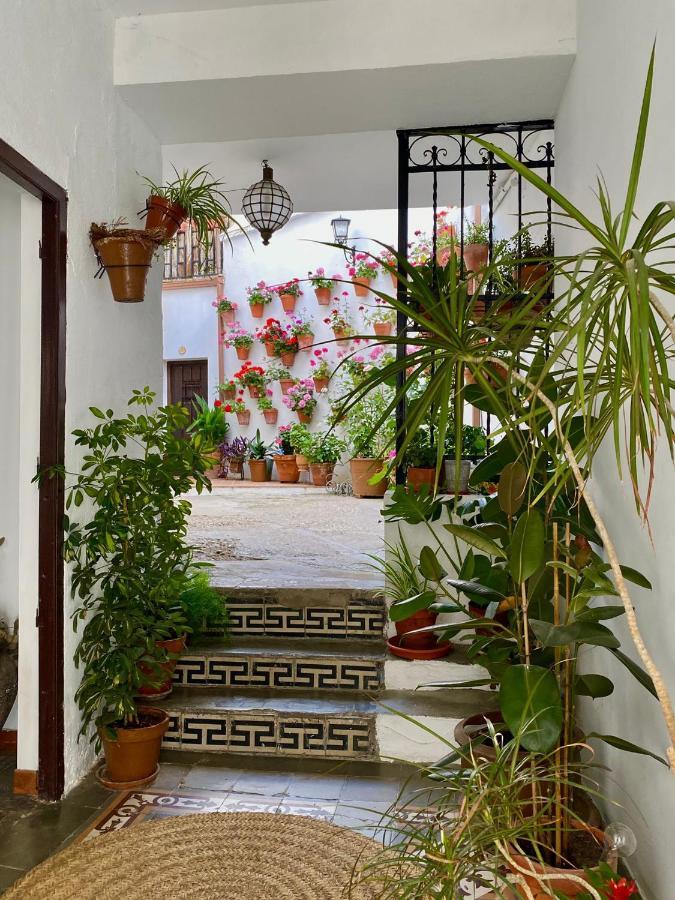 Amal Casa De Huespedes Apartment Cordoba Exterior photo