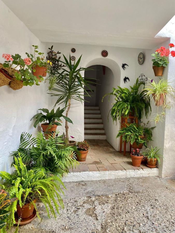 Amal Casa De Huespedes Apartment Cordoba Exterior photo