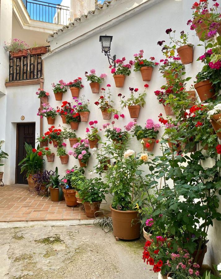 Amal Casa De Huespedes Apartment Cordoba Exterior photo