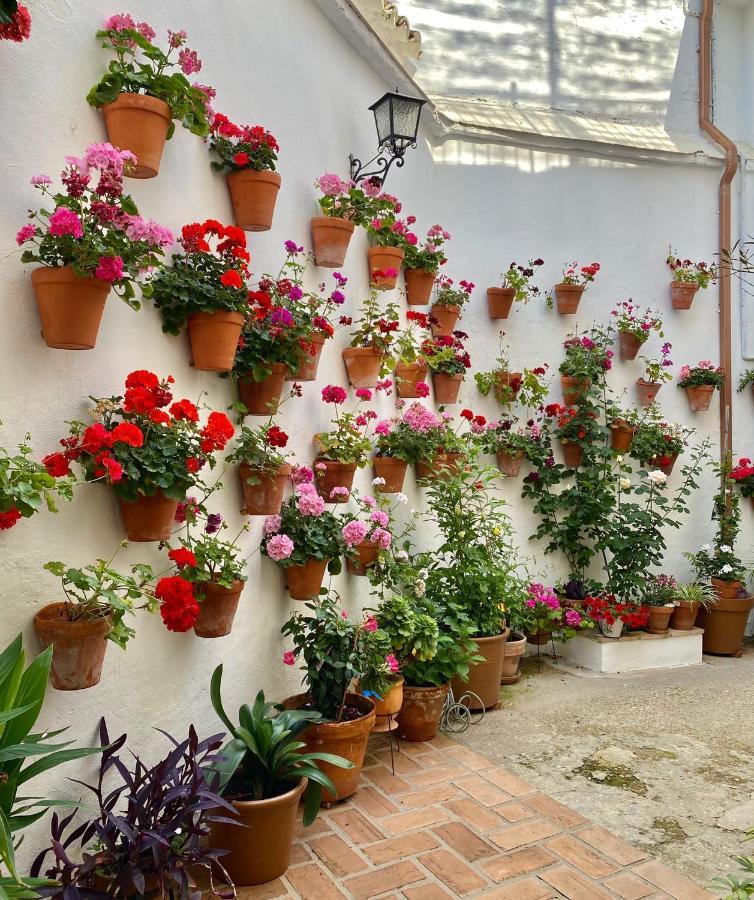 Amal Casa De Huespedes Apartment Cordoba Exterior photo
